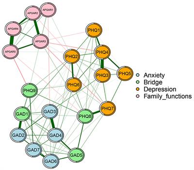 Family function, anxiety and depression in adults with disabilities: a network analysis